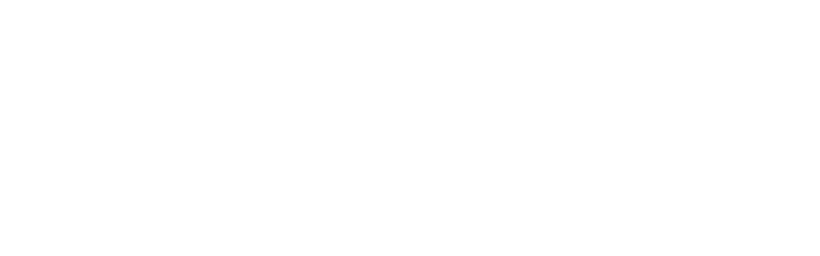 Adnkronos